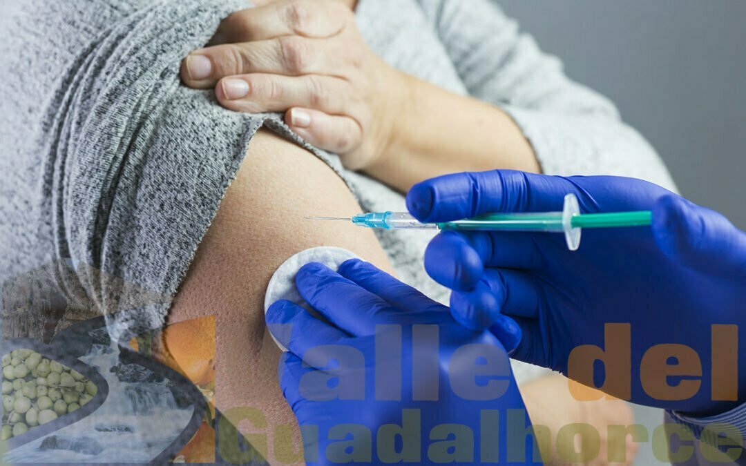 vacunación contra la gripe Álora