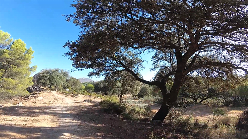 Nororma Sierra Norte de Málaga