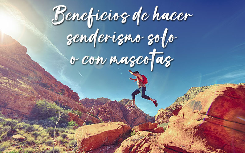 Beneficios de hacer senderismo solo