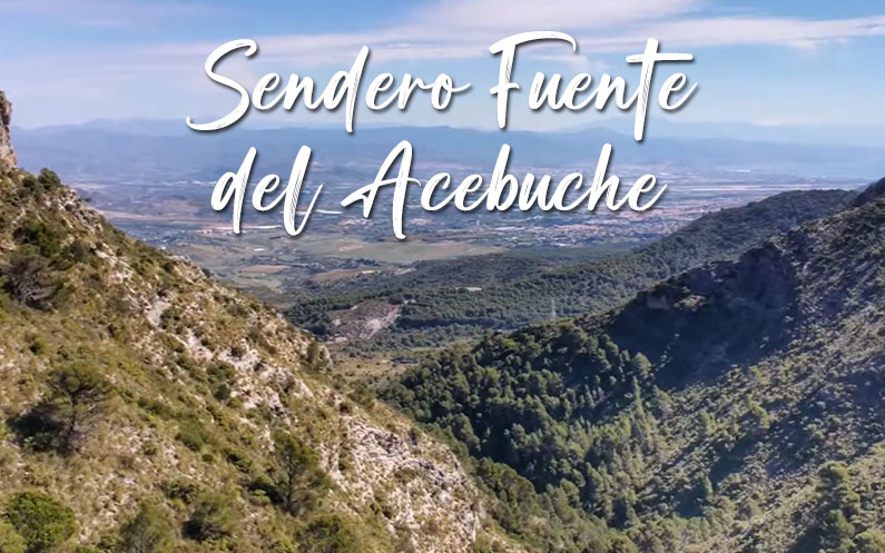 Sendero Fuente del Acebuche Sierra de Alhaurín el Grande