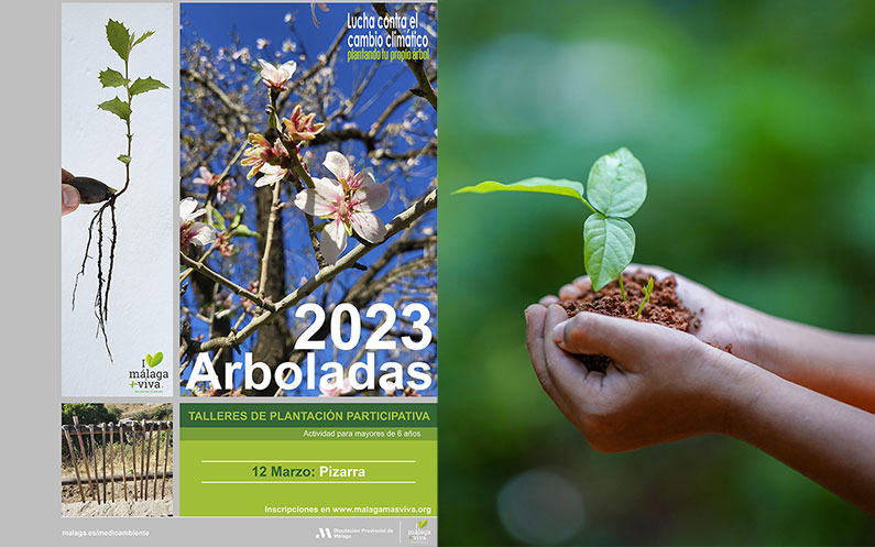 Arbolada primavera 2023 en Pizarra