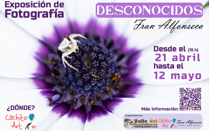 Exposición de Fran Alfonseca Ramos en Galería Cachito Art de Coín