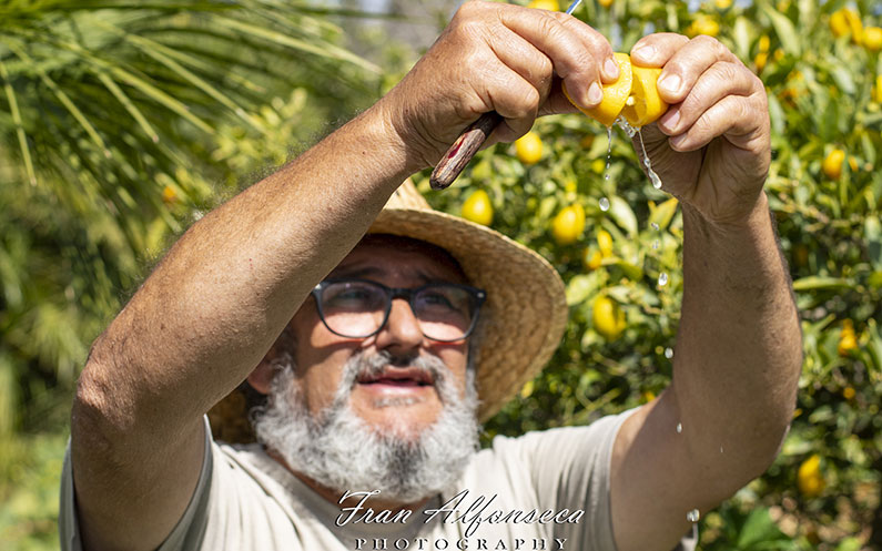 Finca Juanito Orange