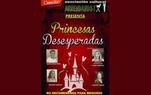 Arrendando-T Princesas Desesperadas