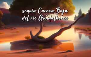 bando sequía Cuenca Baja del río Guadalhorce
