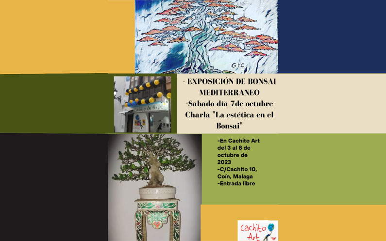 Exposición Bonsai Mediterráneo