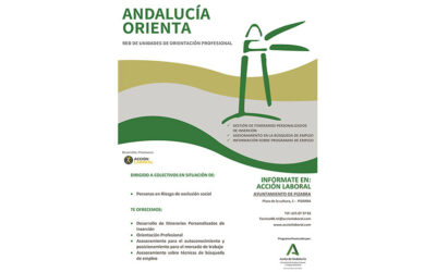 Andalucía Orienta Pizarra – Servicio de Orientación Laboral